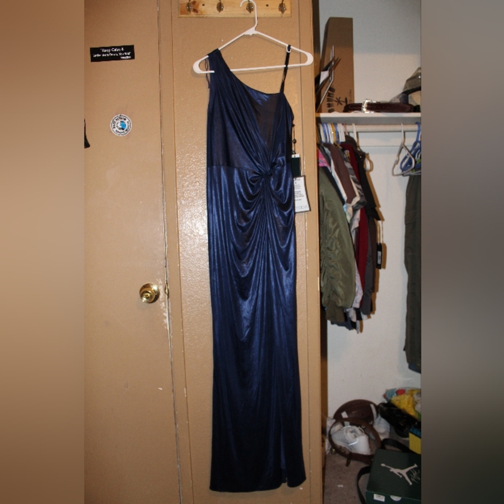 Adrianna papell dress